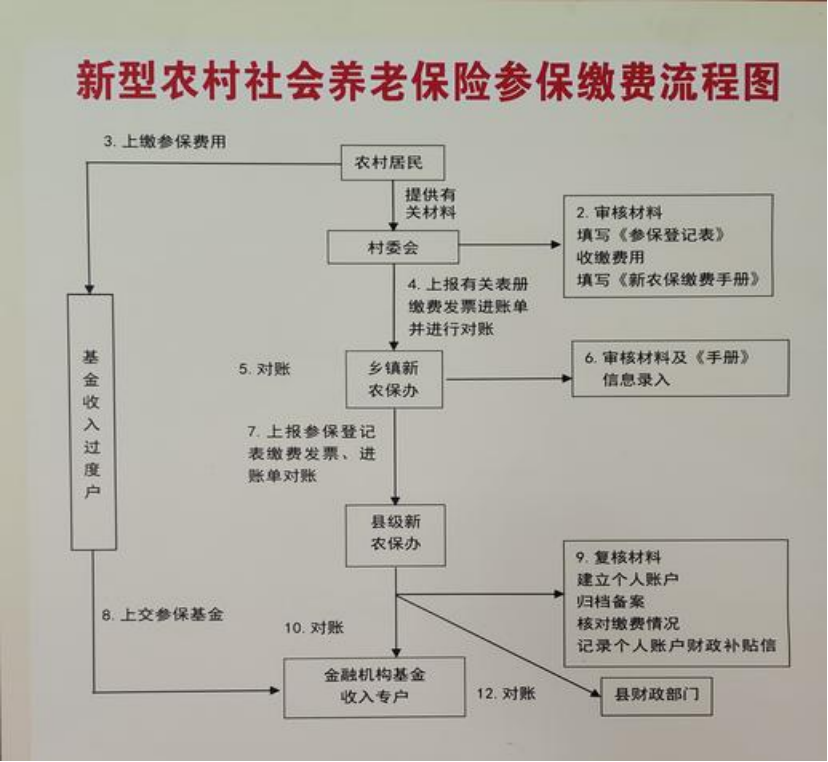 宁德农村医保和社保有什么区别(农村医保跟社保的区别)